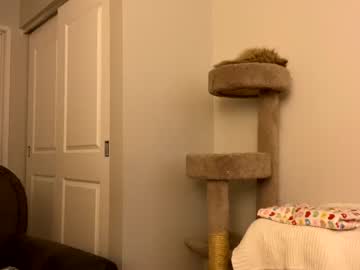 webcam girl sassy3va capture image #2684106
