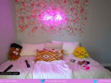 webcam girl rosiebones capture image #3393681