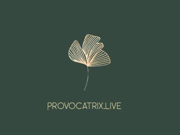 webcam girl provocatrixx capture image #738035