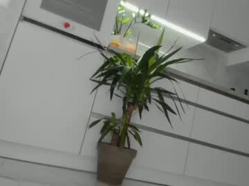 webcam girl meryfoxxx capture image #3798641