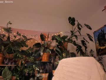 webcam girl jane_flowers capture image #3888965