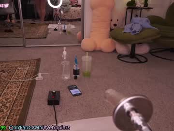 webcam girl evelynpiers capture image #5402371