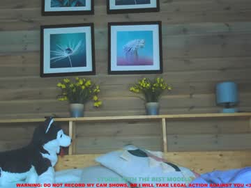 webcam girl coy_amina capture image #993519