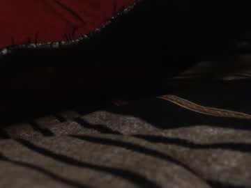 webcam girl inocente_kitty capture image #2206064