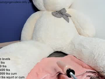 webcam girl gingercuttie capture image #3016037