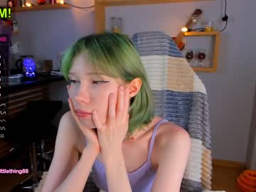 webcam girl littlething88 capture image #3424929