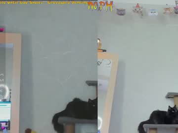 webcam girl _biscuitty capture image #3947770