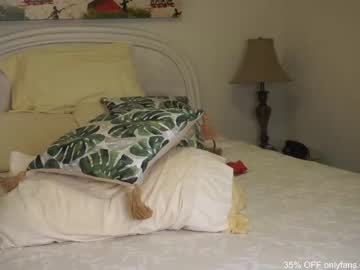 webcam girl chloewildd capture image #1745337