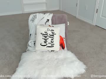 webcam girl foxy_gamer capture image #944424
