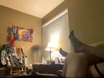 webcam couple ap3133 capture image #5473296
