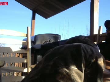 webcam man hardworkertn capture image #1945335