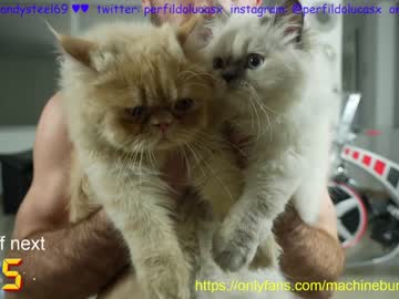 webcam man machinebumkelly capture image #3166591