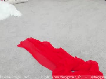 webcam girl foxy_gamer capture image #1681331