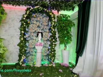 webcam girl foxy_aleks capture image #1490998