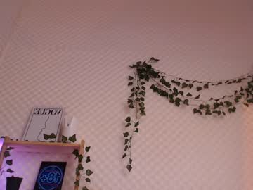 webcam girl sofia_sakura capture image #5077835