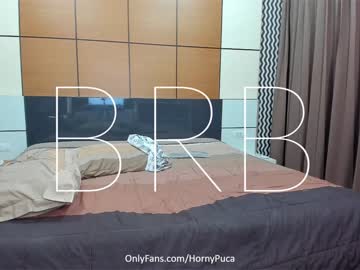 webcam couple hornypuca capture image #3177420