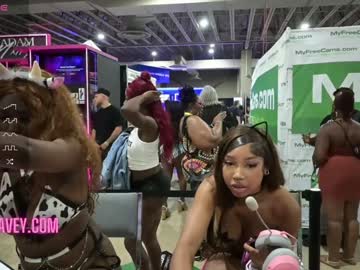 webcam girl wiccakitty capture image #5558891