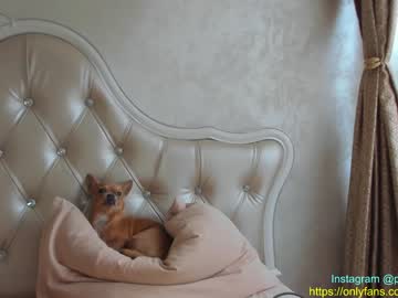 webcam girl patry333 capture image #869282