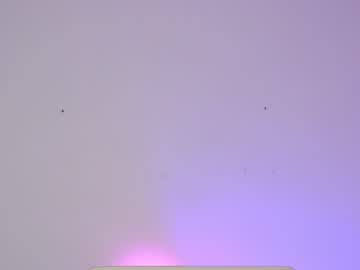 webcam girl sapphirealice capture image #1917001