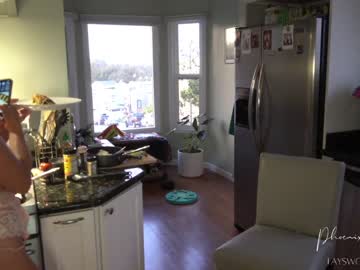 webcam girl phoenix_taylor capture image #2964138