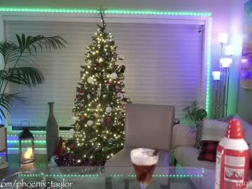 webcam girl phoenix_taylor capture image #4638936