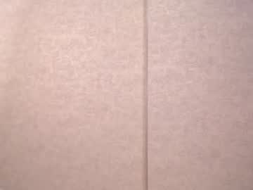 webcam girl emilia_karter capture image #1782193