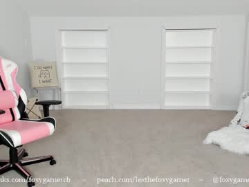 webcam girl foxy_gamer capture image #1078633