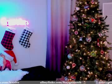 webcam girl foxy_gamer capture image #4563372