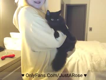 webcam girl kittie capture image #1048405