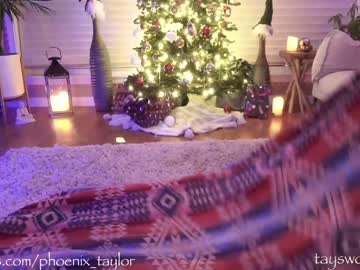 webcam girl phoenix_taylor capture image #4504994