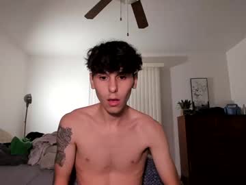 webcam couple aesus3x capture image #4629365