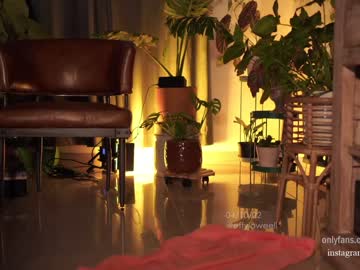 webcam girl effyloweell capture image #3957746