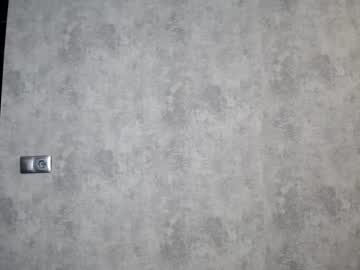 webcam girl nika_lodge capture image #3103033