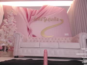 webcam girl wildtequilla capture image #4646743