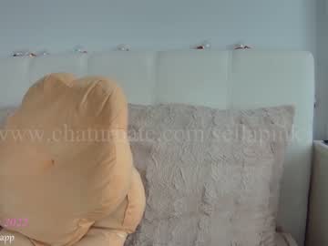 webcam girl sellapink capture image #2113856