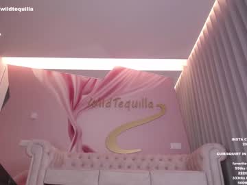 webcam girl wildtequilla capture image #4512898