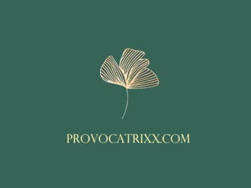 webcam girl provocatrixx capture image #3604038