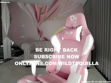 webcam girl wildtequilla capture image #3879320