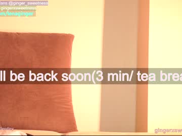 webcam girl gingerxsweetness capture image #3181975