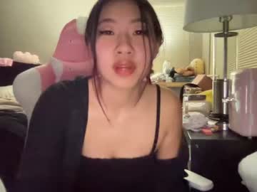 webcam girl hiddenr0se capture image #4506338