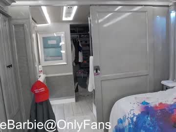 webcam girl rvlifebarbie capture image #2790749
