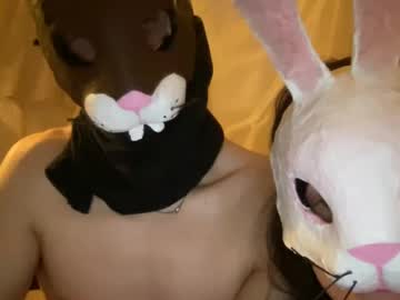 Cam for easterhunny