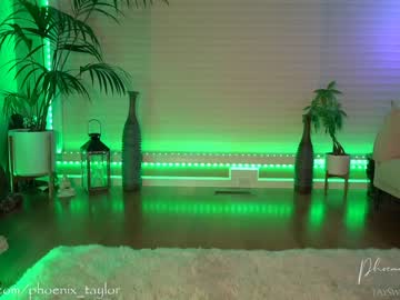 webcam girl phoenix_taylor capture image #2398878