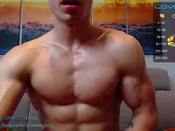 webcam man destroy_boy capture image #3003702