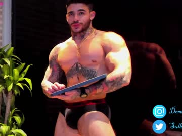 webcam man dominic_sullivan1 capture image #2296241