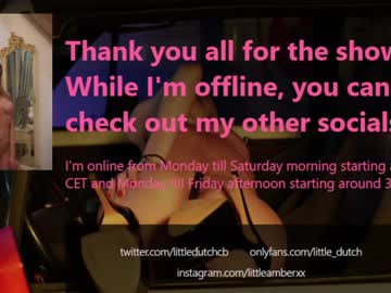 webcam girl little_dutch capture image #3687094