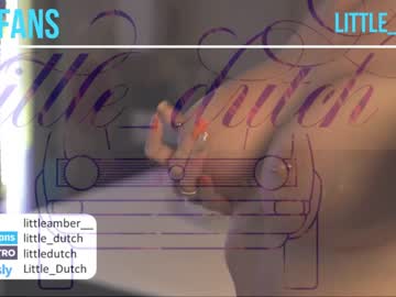 webcam girl little_dutch capture image #4959617