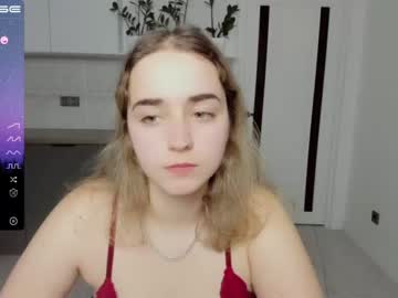 Cam for minniemause