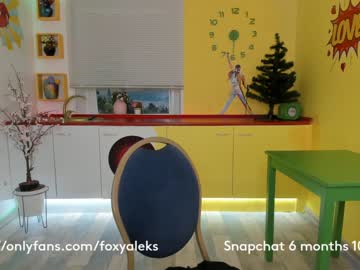 webcam girl foxy_aleks capture image #1347312