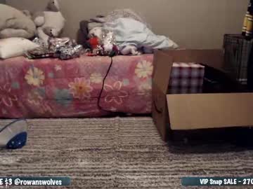 webcam girl rowanswolves capture image #1144029